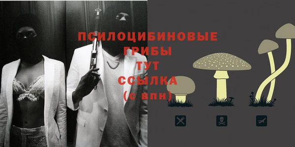 крисы Аркадак