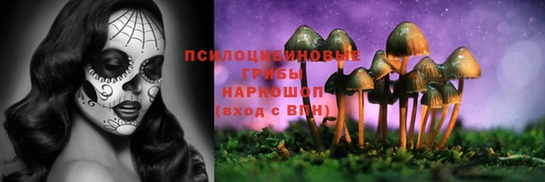 крисы Аркадак
