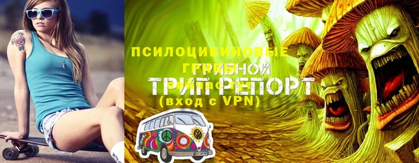 мяу мяу мука Арсеньев