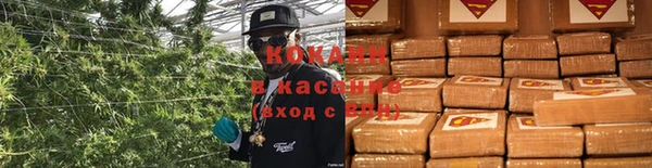 крисы Аркадак