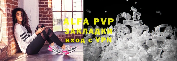 крисы Аркадак