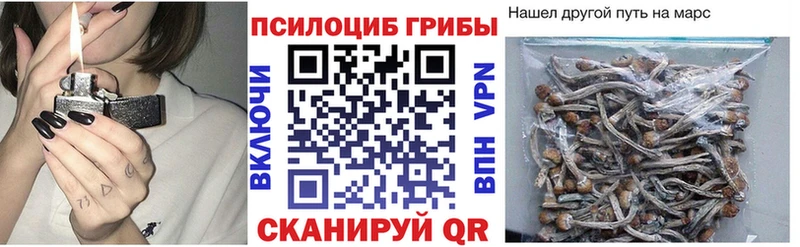 Галлюциногенные грибы прущие грибы  где найти наркотики  Афипский 